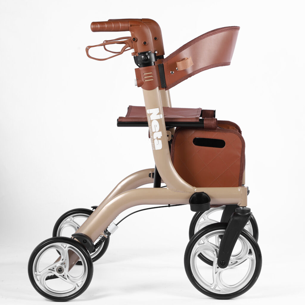 רולטור נטע שמפניה מדברית בסטודיו צילום מקצועי של המוצר מכל הצדדים