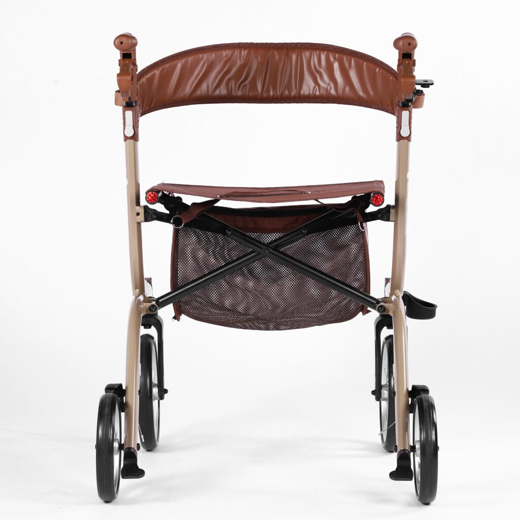 רולטור נטע שמפניה מדברית בסטודיו צילום מקצועי של המוצר מאחורה