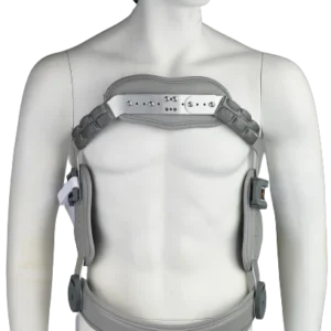 חגורת גב Jewett