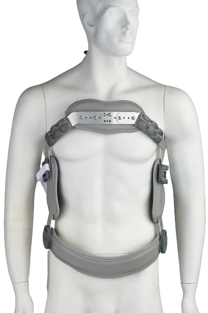 חגורת גב Jewett 1 חגורת גב Jewett