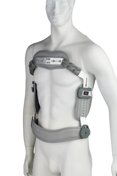 חגורת גב Jewett 3 חגורת גב Jewett – תמונה 3